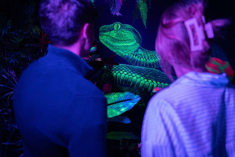Explore the Neon Room