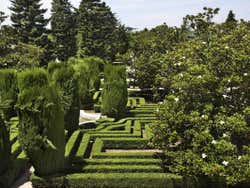 Les jardins de Sabatini