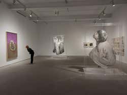 Reina Sofia Museum