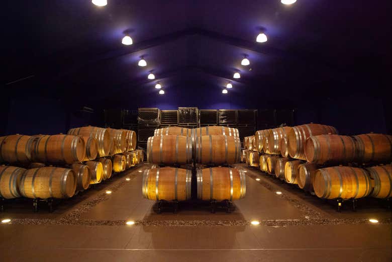 Descubrid el vino de Madrid