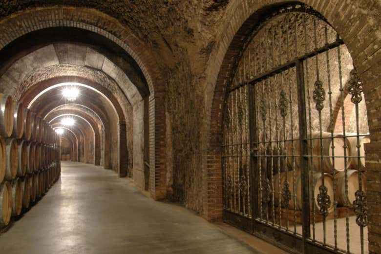 Tour delle cantine