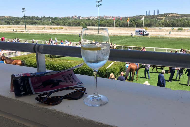 Todo listo para la carrera de caballos en el hipódromo