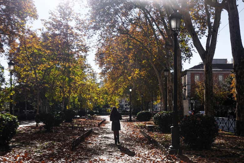 Promenade dans le parc du Retiro