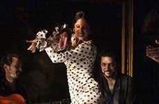 Flamenco Shows