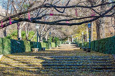 Jardin botanique royal de Madrid