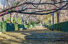 Royal Botanic Garden