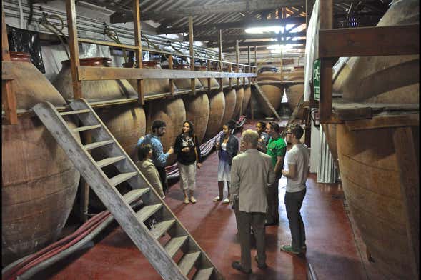 Tagus Valley Wineries Tour
