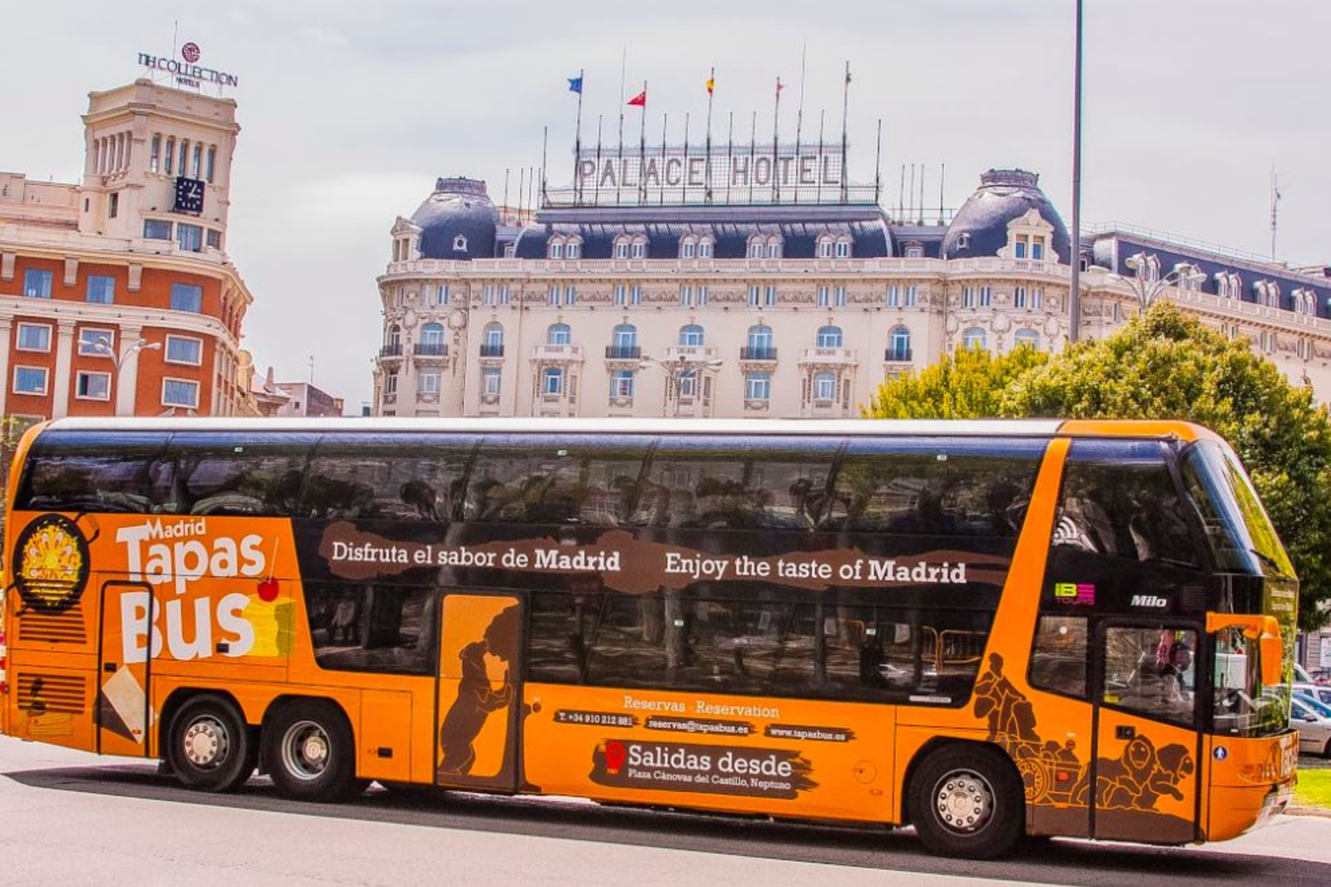Tour panoramico con tapas