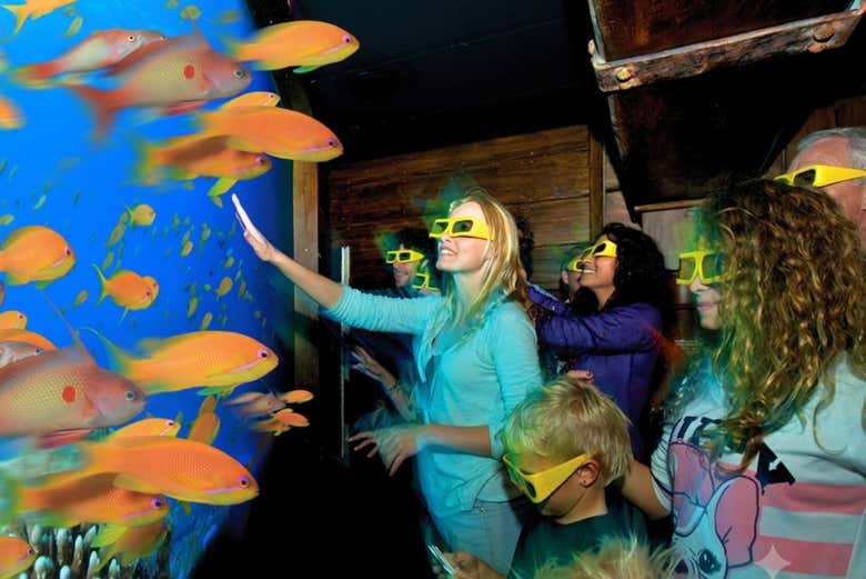 Disfrutaréis de atracciones interactivas