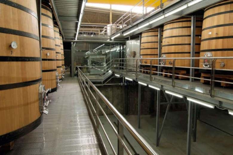Découvrez le vin de la cave Buezo