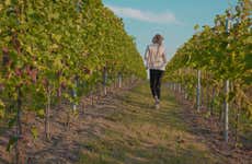 Visita a las bodegas Buezo