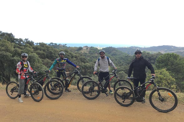 Tour en bicicleta eléctrica por el Parque de la Concepción