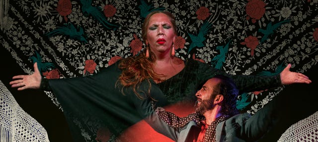 Flamenco Show at Alegría