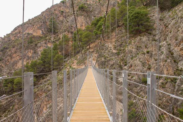 Excursión a Canillas de Aceituno y El Saltillo