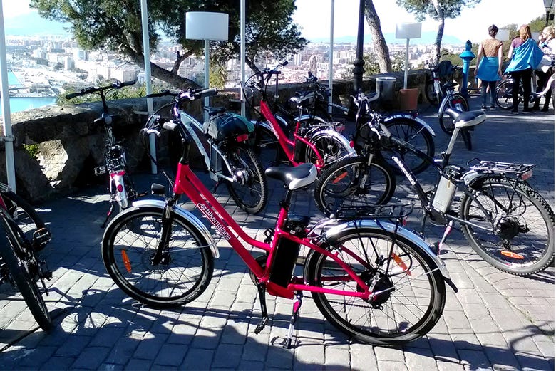 Our electric bikes