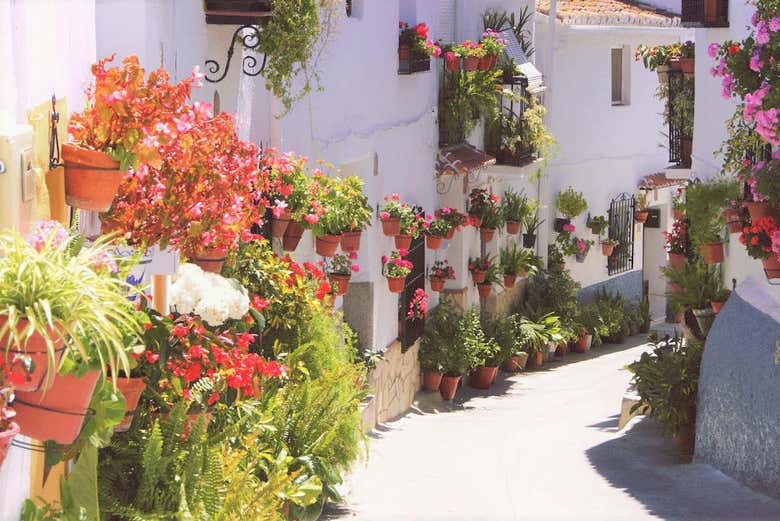 Calle San Antonio, in Canillas de Aceituno