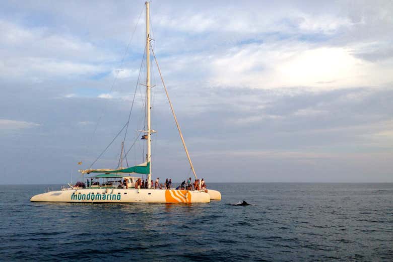 Catamarán en la bahía de Málaga