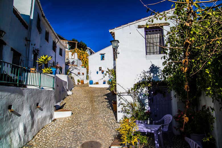 Promenade dans El Acebuchal