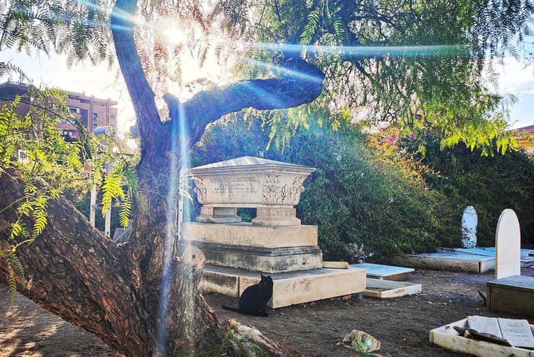 Admire intricate tombs