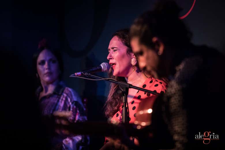 Cantante di Flamenco