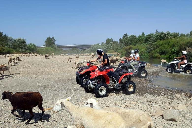 Exploraremos los alrededores del Guadalhorce