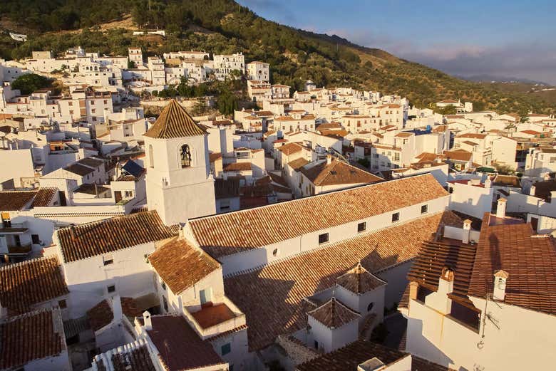 Canillas de Aceituno