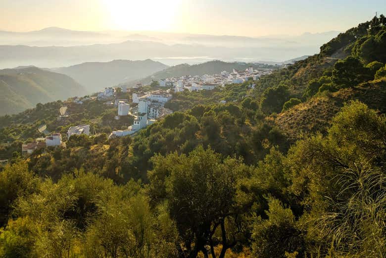 Canillas de Aceituno