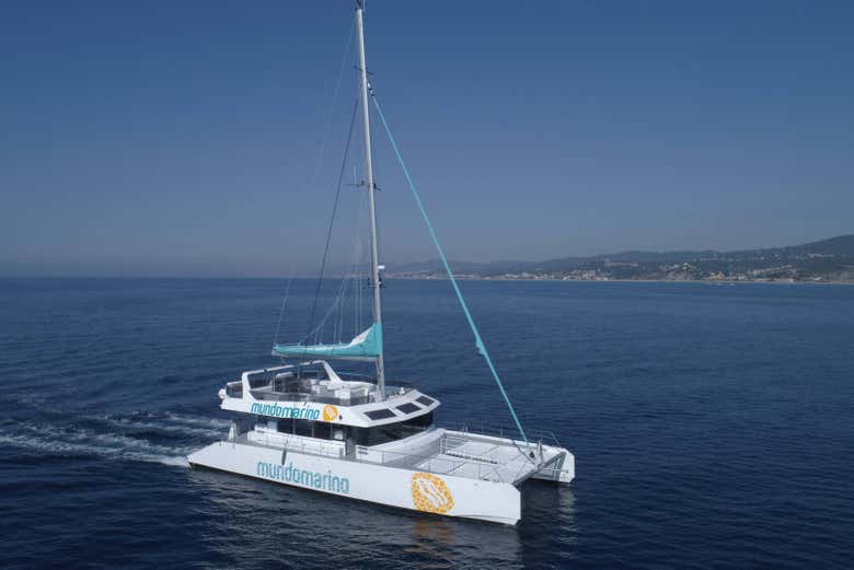 Il catamarano sulle acque di Malaga