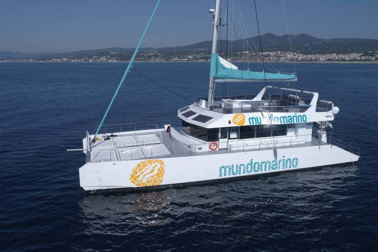 Paseo en catamarán por Málaga
