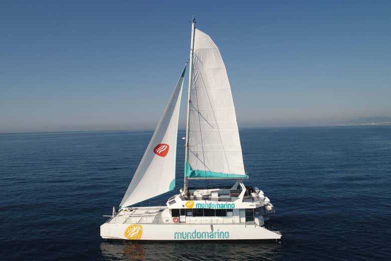 Catamarano dell'attività