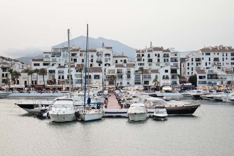 Los lujosos yates del puerto de Puerto Banús