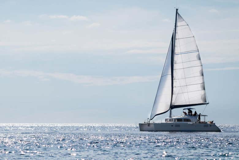 Catamarano che naviga nella baia di Malaga