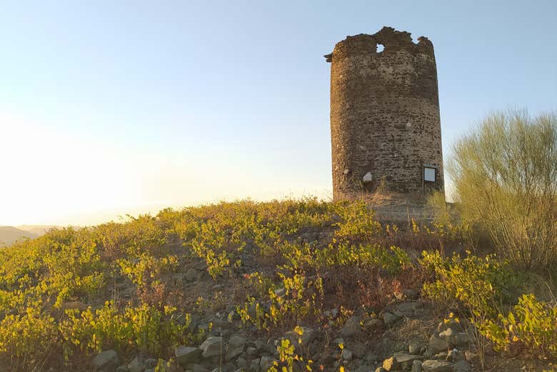 Torre de la Atalaya