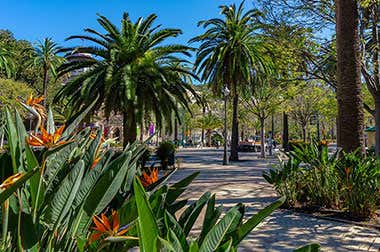 Parque de Málaga