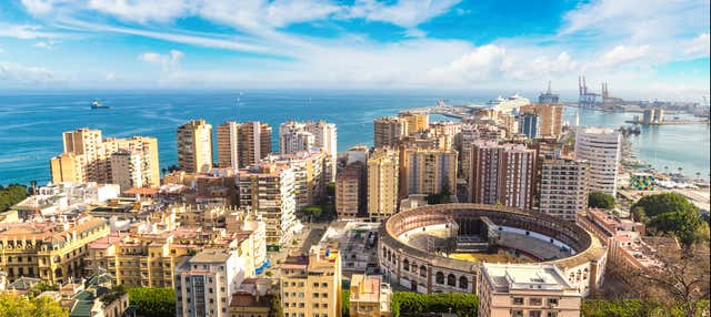 Tour de Málaga al completo con entradas