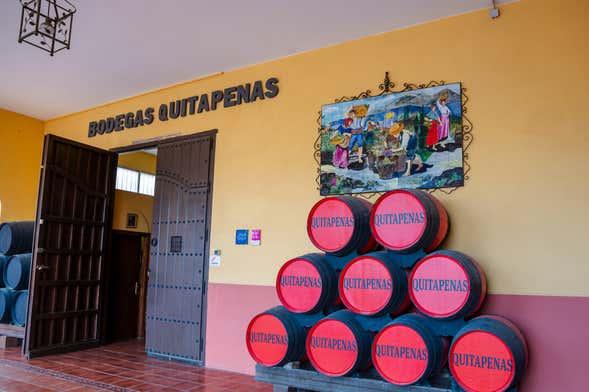 Visita alla cantina Bodegas Quitapenas