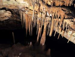 Formas del Drach