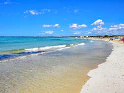 Orilla de la playa Es Trenc