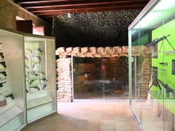 Exposiciones del museo San Carlos