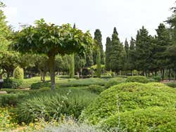 Vegetación de los Jardines de Marivent