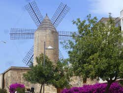 Molino antiguo de Manacor
