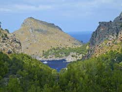 Vegetación junto al mar