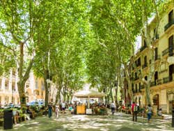 Palma de Mallorca en verano
