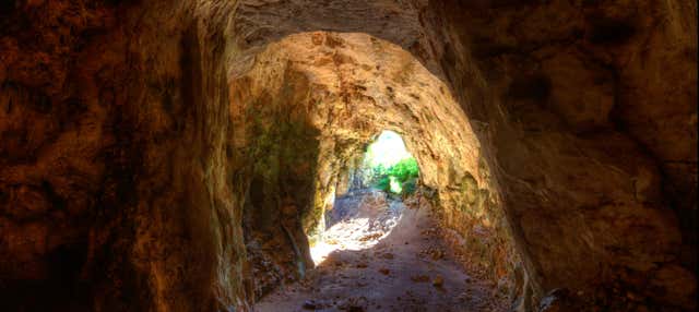 Espeleología en la cueva Es Coloms