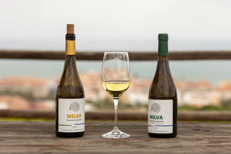 Dois tipos de vinhos de Manilva