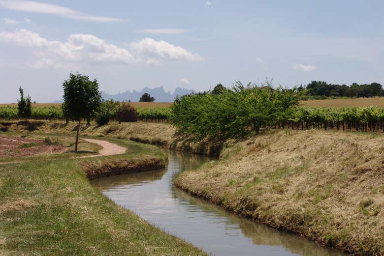 Canal medieval do Parc de la Sèquia 
