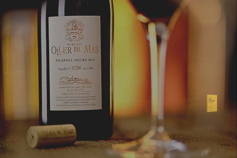 Découvrez quelques-uns de leurs meilleurs vins