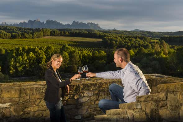 Visita a la bodega Oller del Mas
