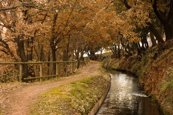 Visita guiada pelo Parc de la Sèquia
