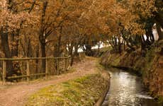 Visita guiada por el Parc de la Sèquia